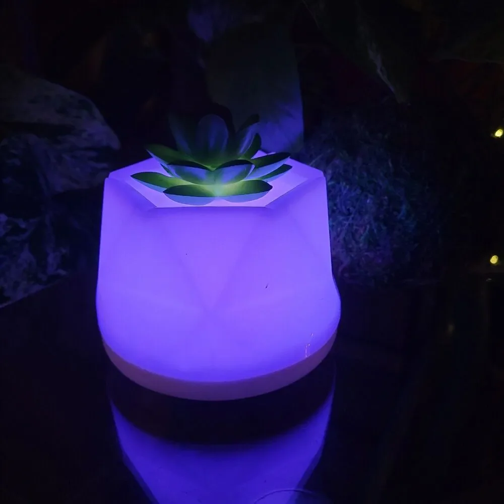 Succulent Color-Changing Night Light Lamp Waterless Essential Oil Diffuser Aroma